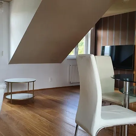 Modern Attic In Centre, 140m2, With Terrace * Marianske Lazne