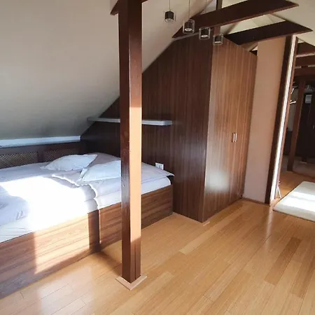 Modern Attic In Centre, 140m2, With Terrace * Marianske Lazne